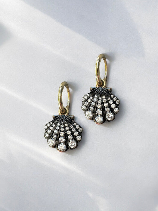 Shell earrings